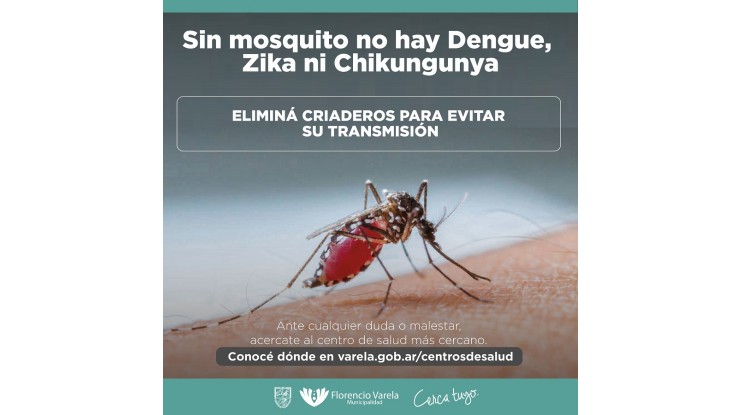 Prevención del dengue 